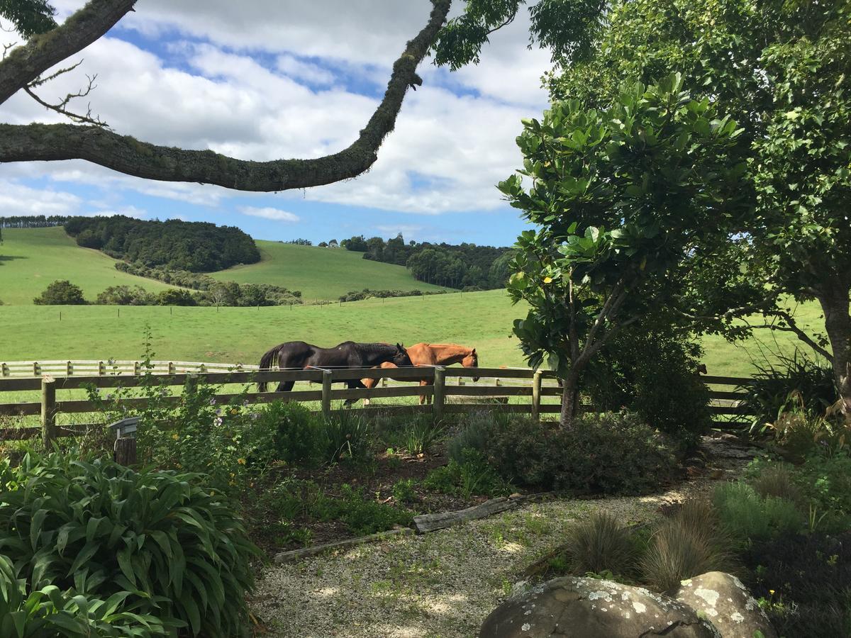 Quail Lodge Nz Snells Beach Εξωτερικό φωτογραφία
